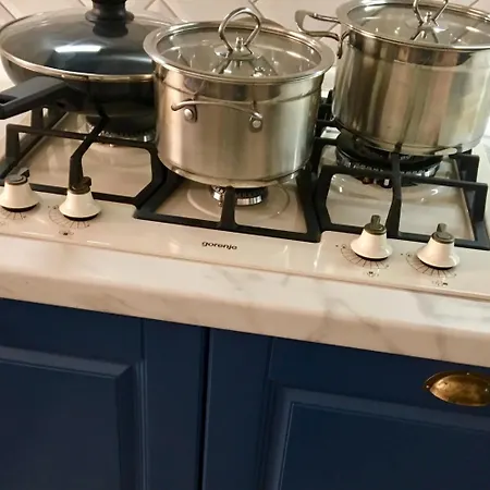 Lux на левицького Apartment Lviv